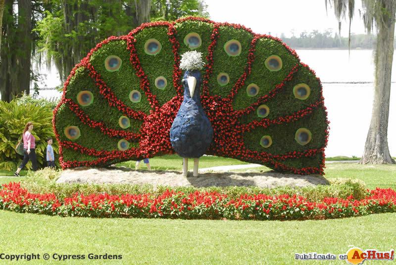 Cypress Gardens  03